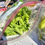Bagged Lettuce 7/6/2023