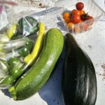 Fresh Produce Harvest 7/6/23