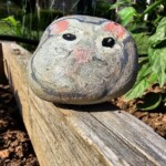 Garden Rock Mouse 7/6/23