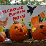 Peace Tohickon Lutheran Church - Trunk or Treat 2023
