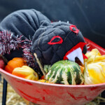 Peace Tohickon Lutheran Church - Trunk or Treat 2023